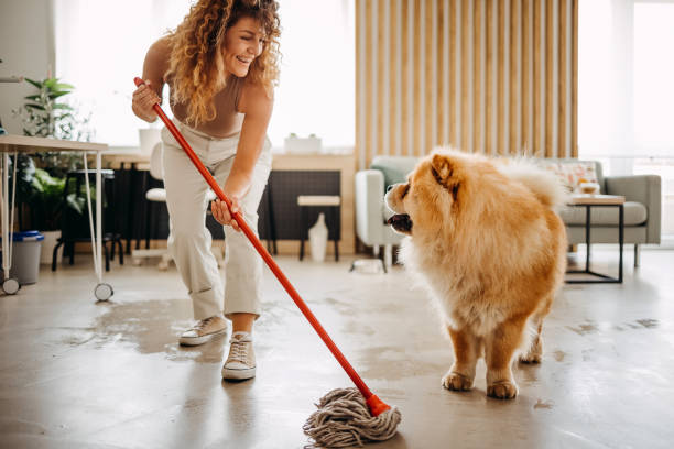 perro escoba limpieza en comunidades con mascotas